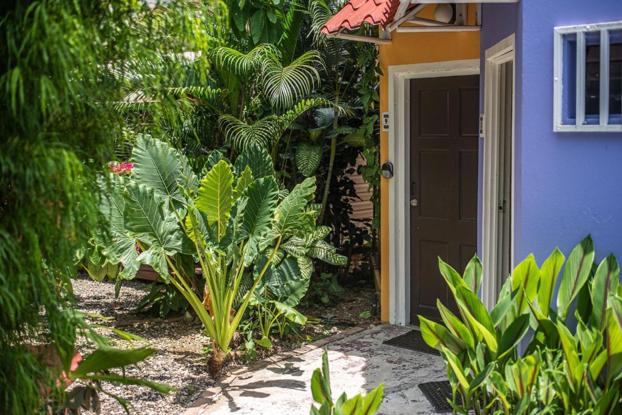 Jaco Lodge Quiet Place (Adults Only) Exteriör bild